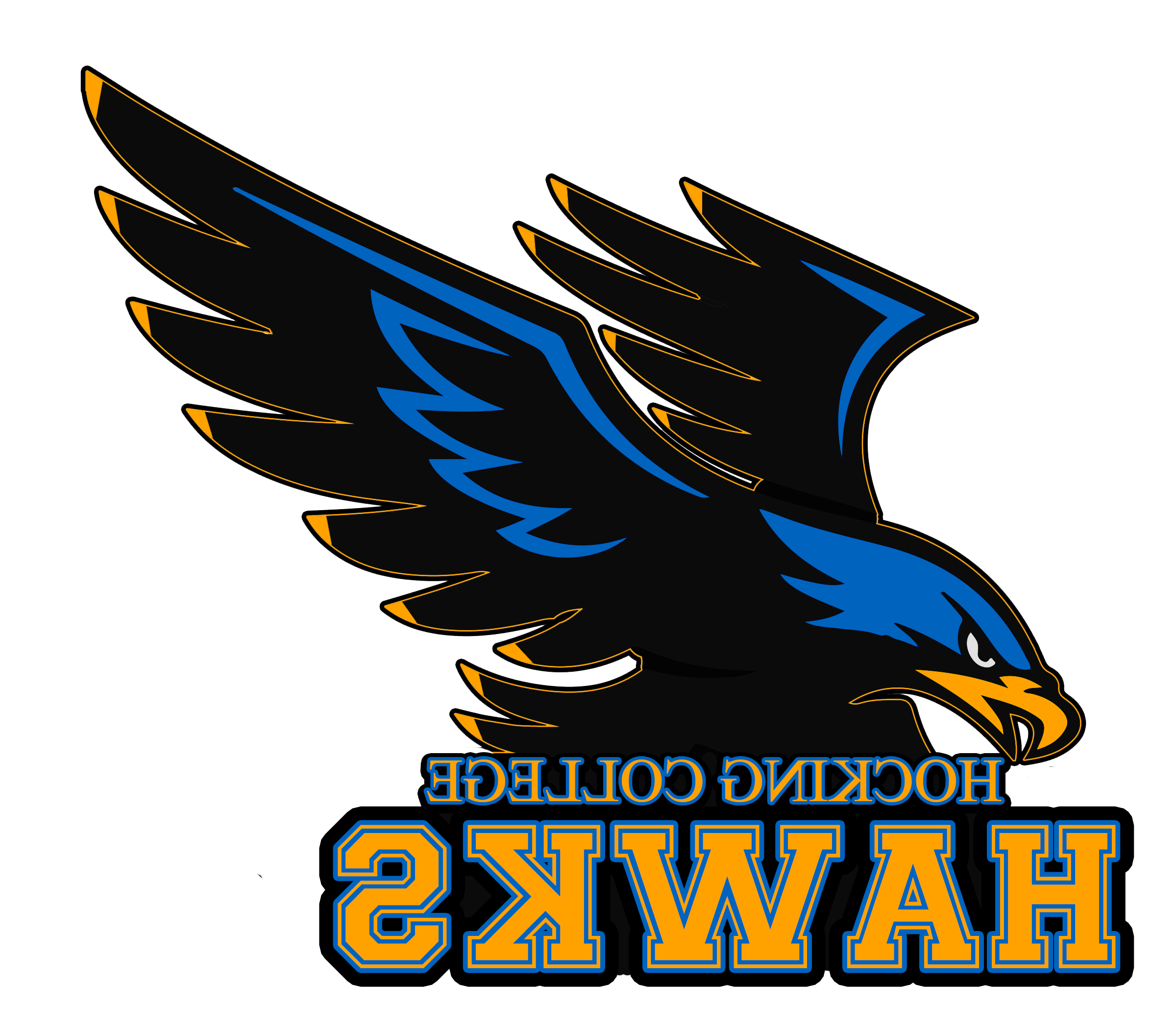 HawkLogo vector